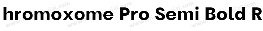hromoxome Pro Semi Bold Regular字体转换